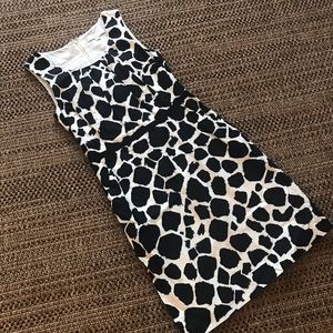 Ann taylor loft dress work lined perfect!!!